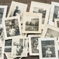 NZ genealogist for hire