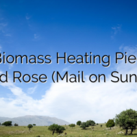 Anti Biomass Heating Piece by David Rose (Mail on Sunday)