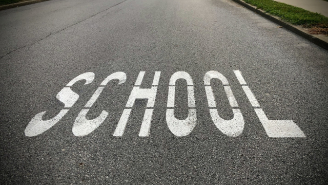 Your Guide to Solar School Zone Systems and Signs